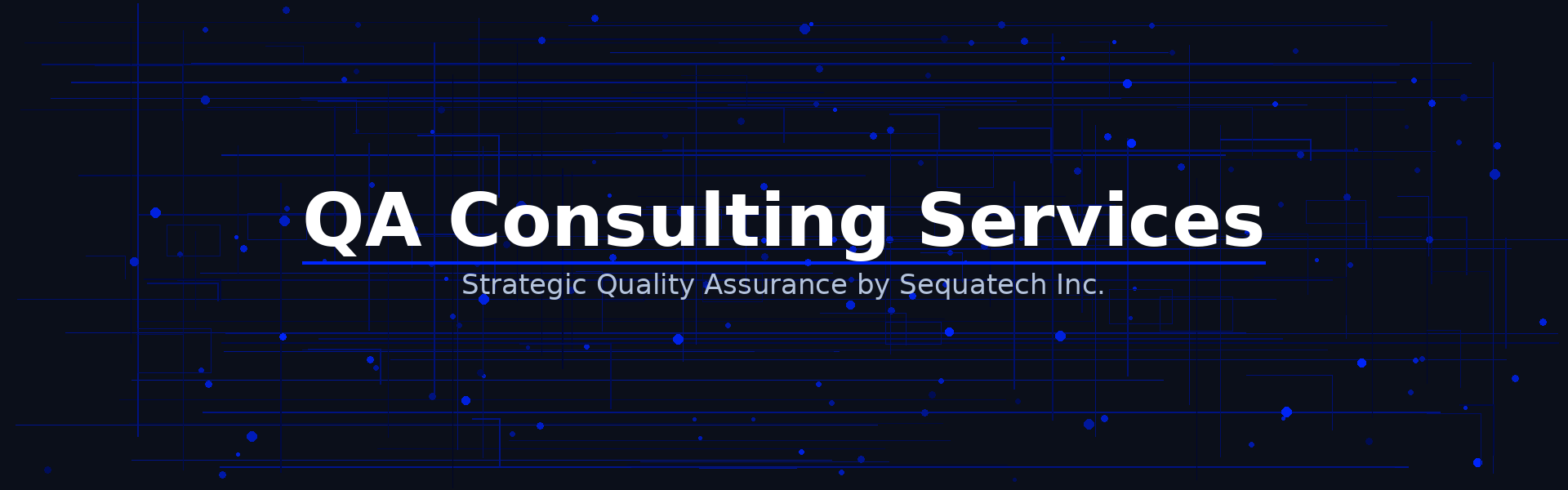 QA Consulting Services